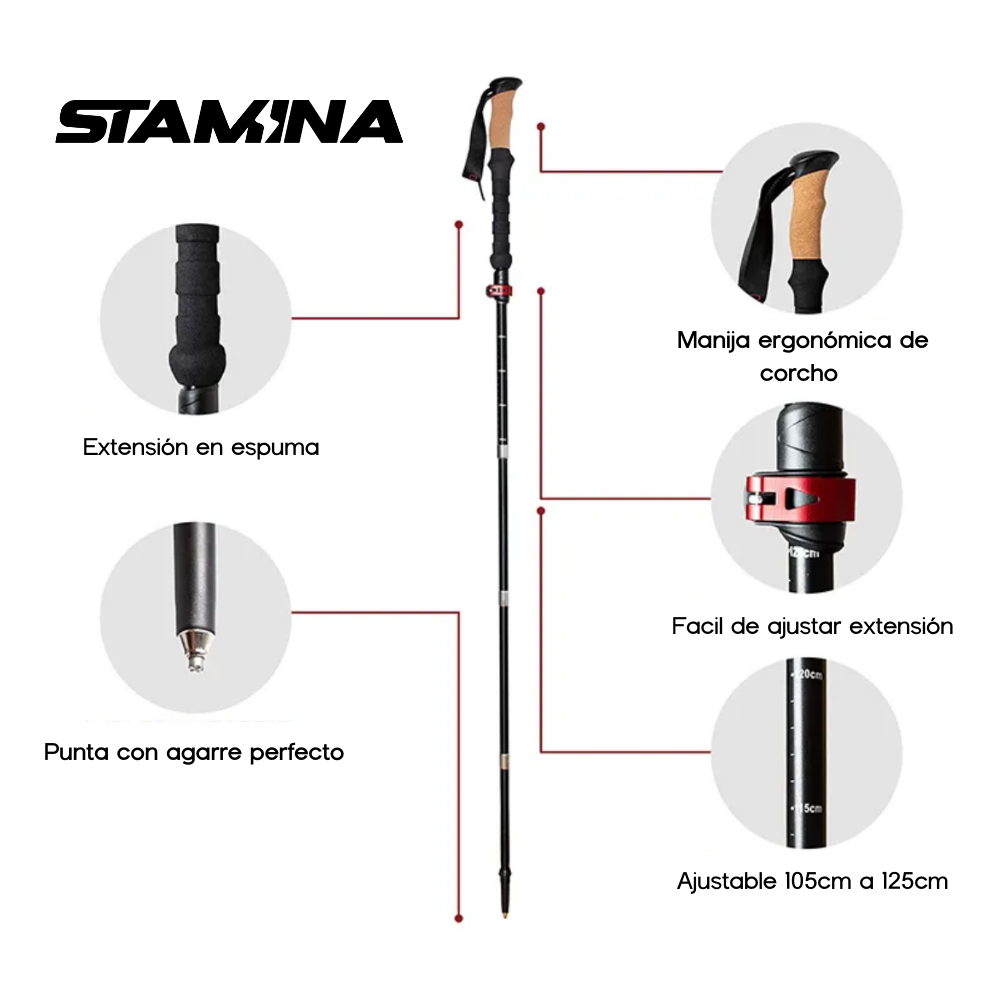 Bastones Plegables en Carbono (PAR)