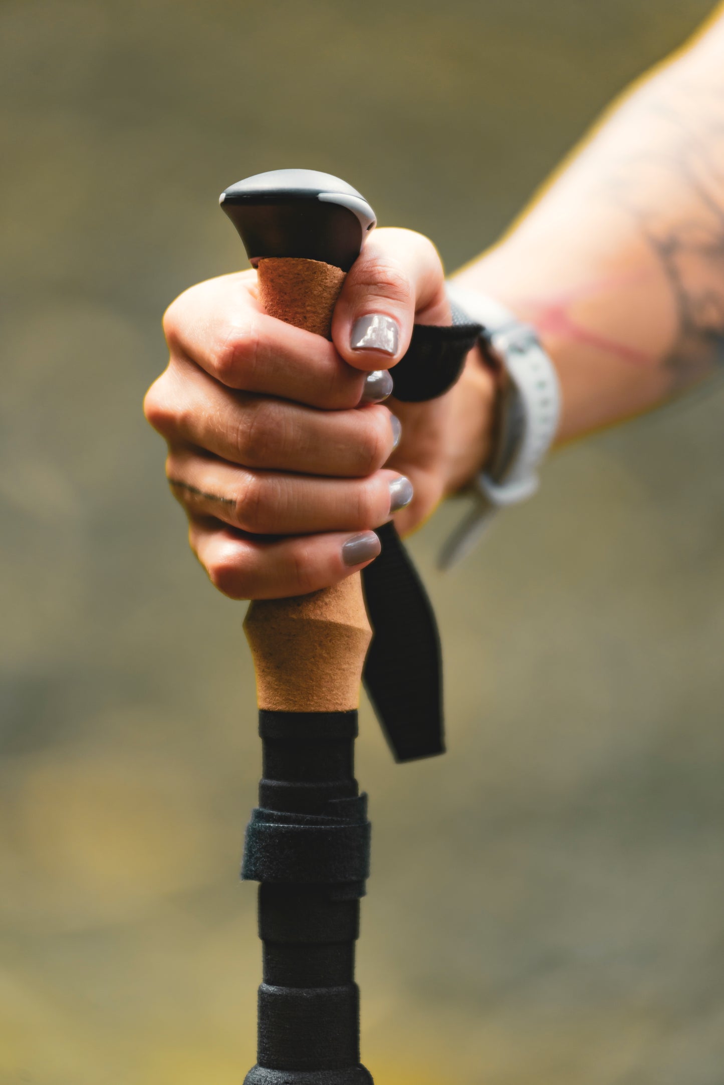 Bastones Plegables en Carbono (PAR)